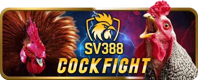 Ưu Đãi VIP tg88 nổ hũ